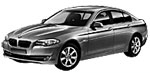 BMW F10 P1381 Fault Code
